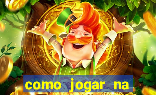 como jogar na seninha online